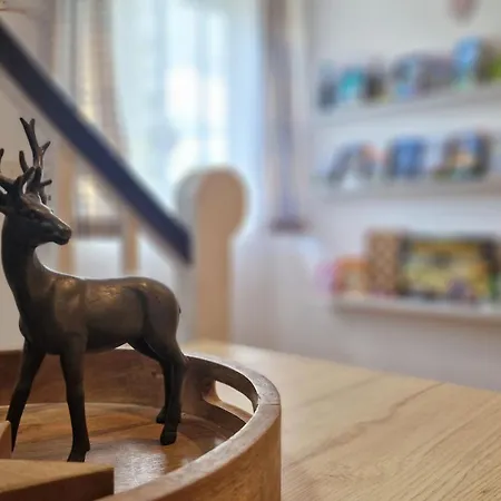 Aggenstein - Helles Mit Suedbalkon Und Traumhaftem Bergpanorama In Mitte Daire *